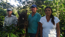 Load image into Gallery viewer, Organic Peru