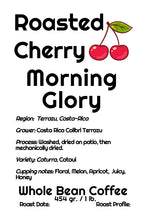 Load image into Gallery viewer, Morning Glory

